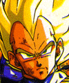 ssj1